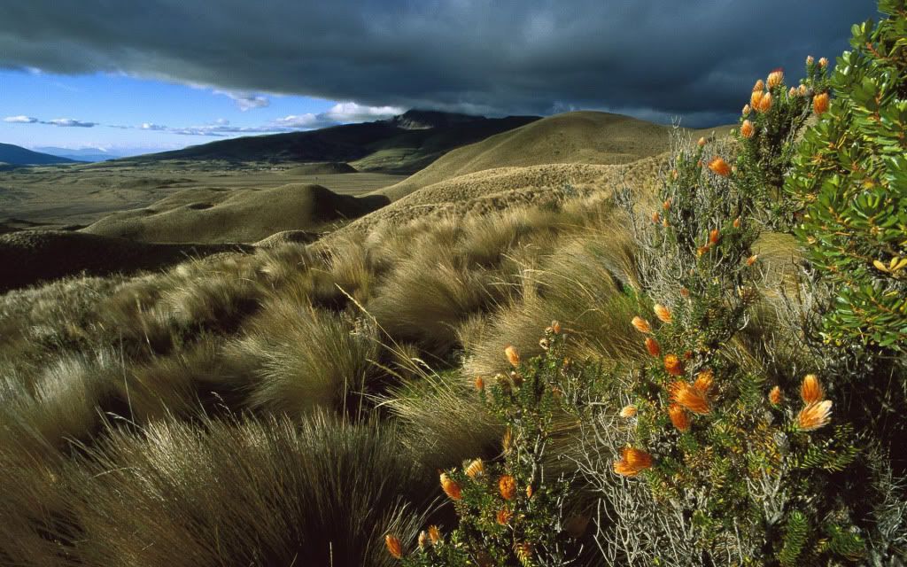 HDPackSuperiorWallpapers357_178.jpg