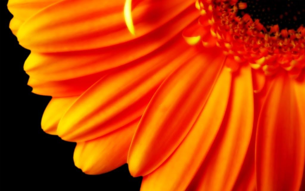 HDPackSuperiorWallpapers357_193.jpg