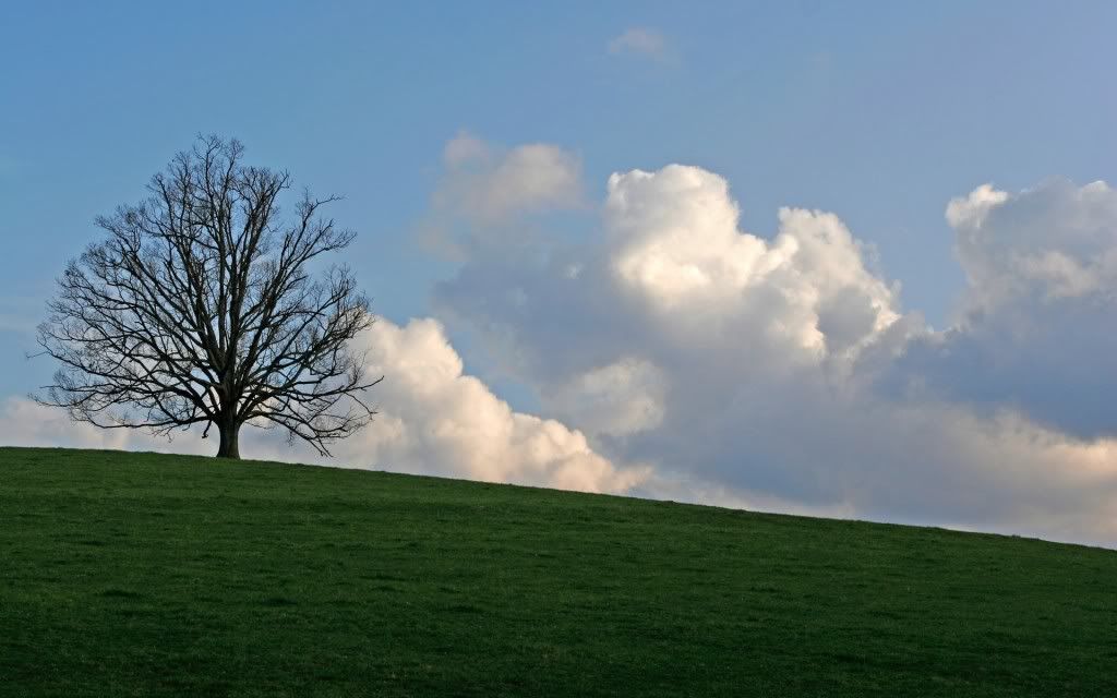 HDPackSuperiorWallpapers357_204.jpg