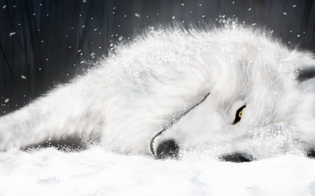 HDPackSuperiorWallpapers357_206.jpg