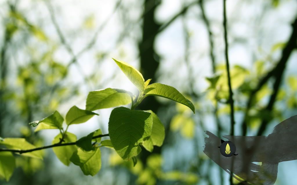 HDPackSuperiorWallpapers357_211.jpg