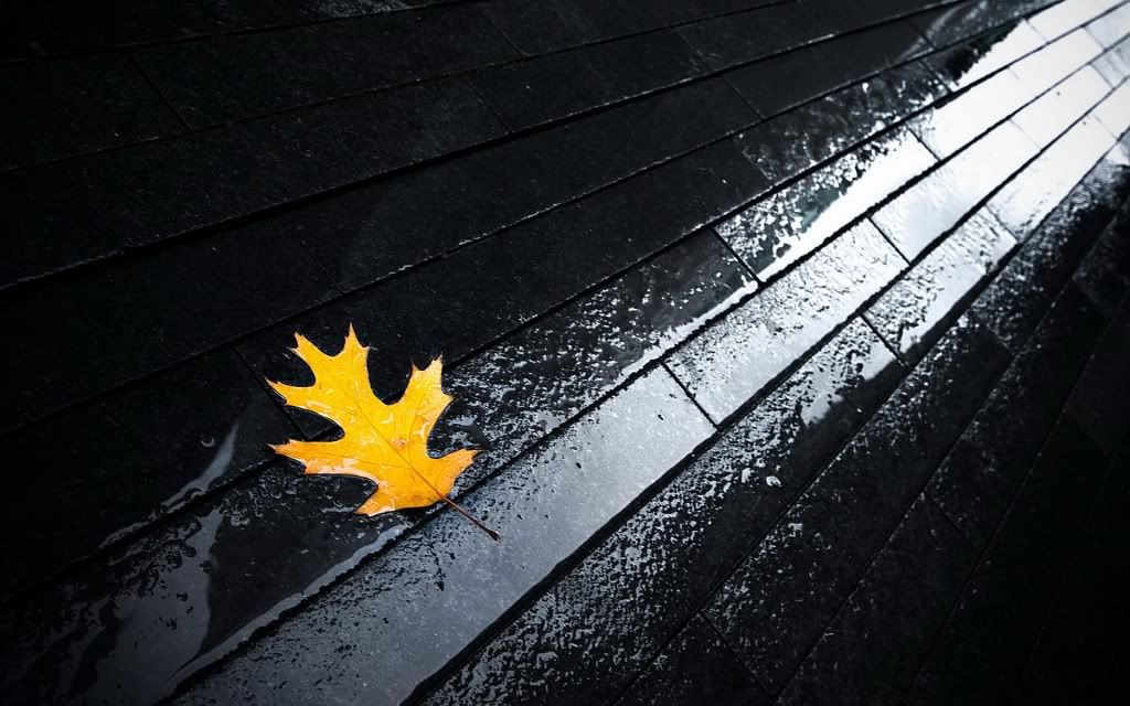 HDPackSuperiorWallpapers357_221.jpg