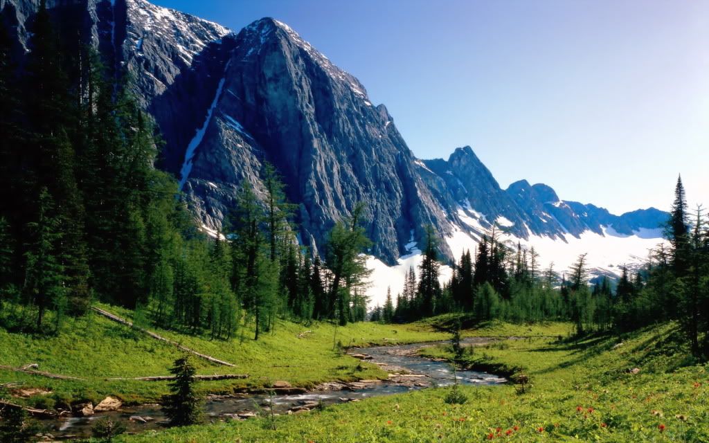 HDPackSuperiorWallpapers357_231.jpg