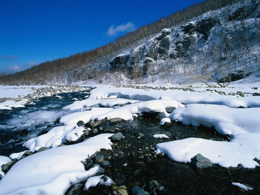 a8.jpg