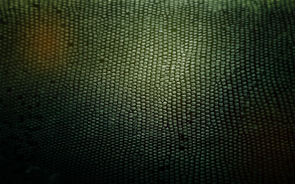 2560-1600-60716.jpg