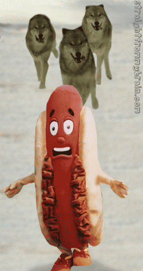 2eb4l50mg3vm4cg6.gif