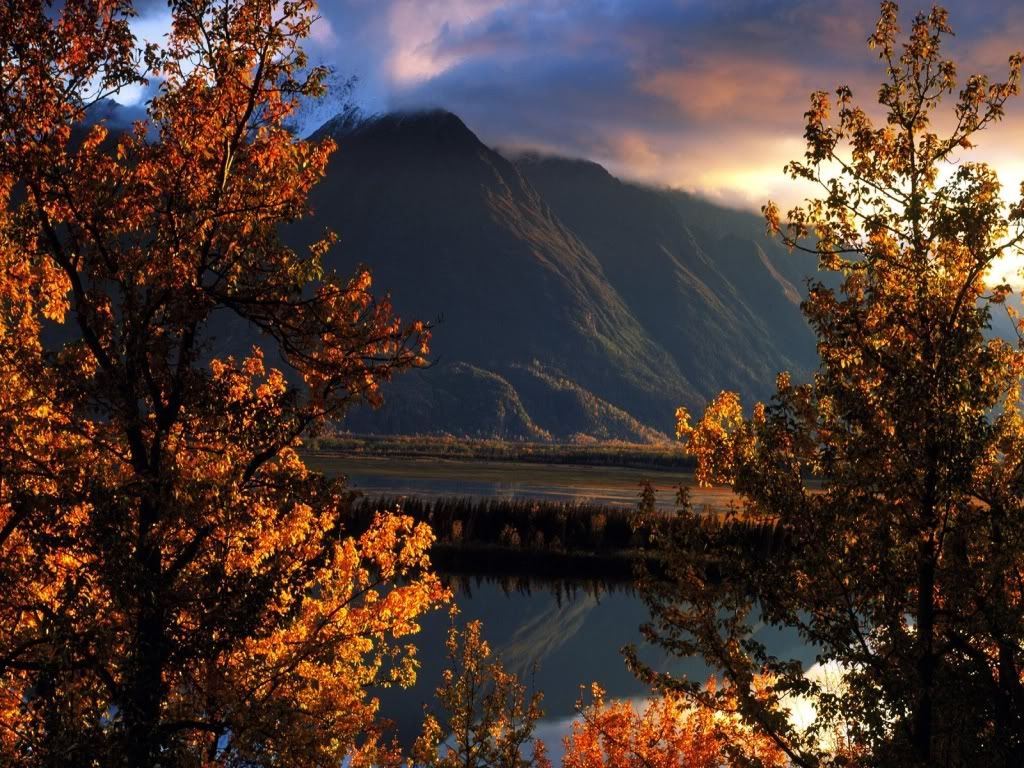 HDPackSuperiorWallpapers192_032.jpg