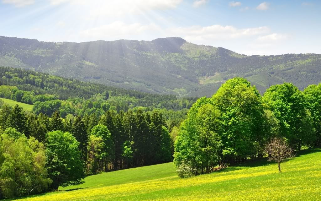 HDPackSuperiorWallpapers192_113.jpg
