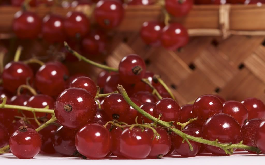HDPackSuperiorWallpapers192_119.jpg