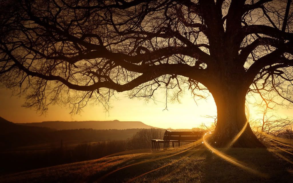 HDPackSuperiorWallpapers388_082.jpg