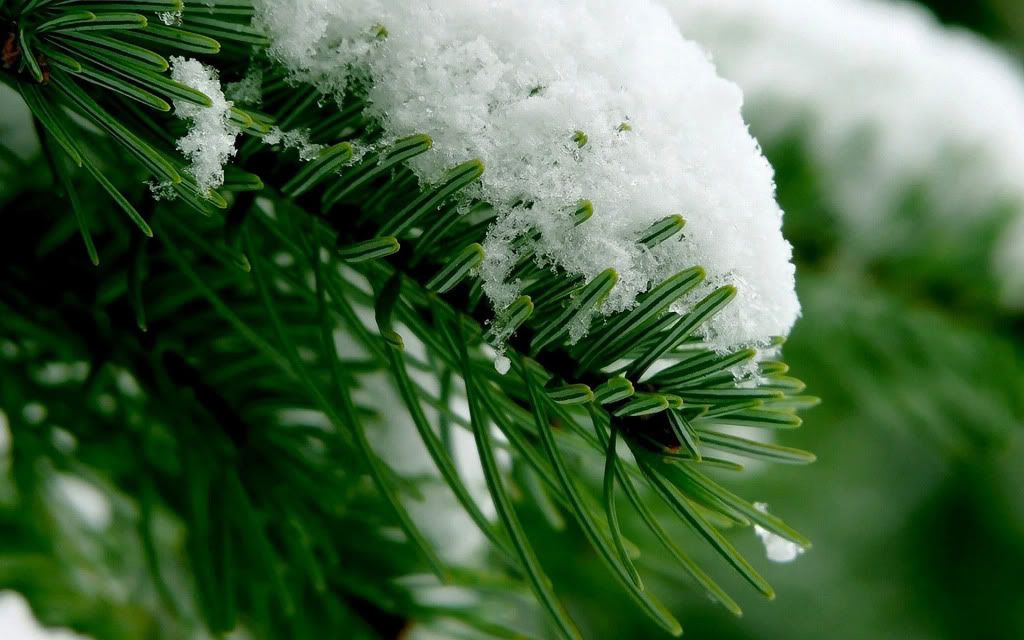 HDPackSuperiorWallpapers388_104.jpg