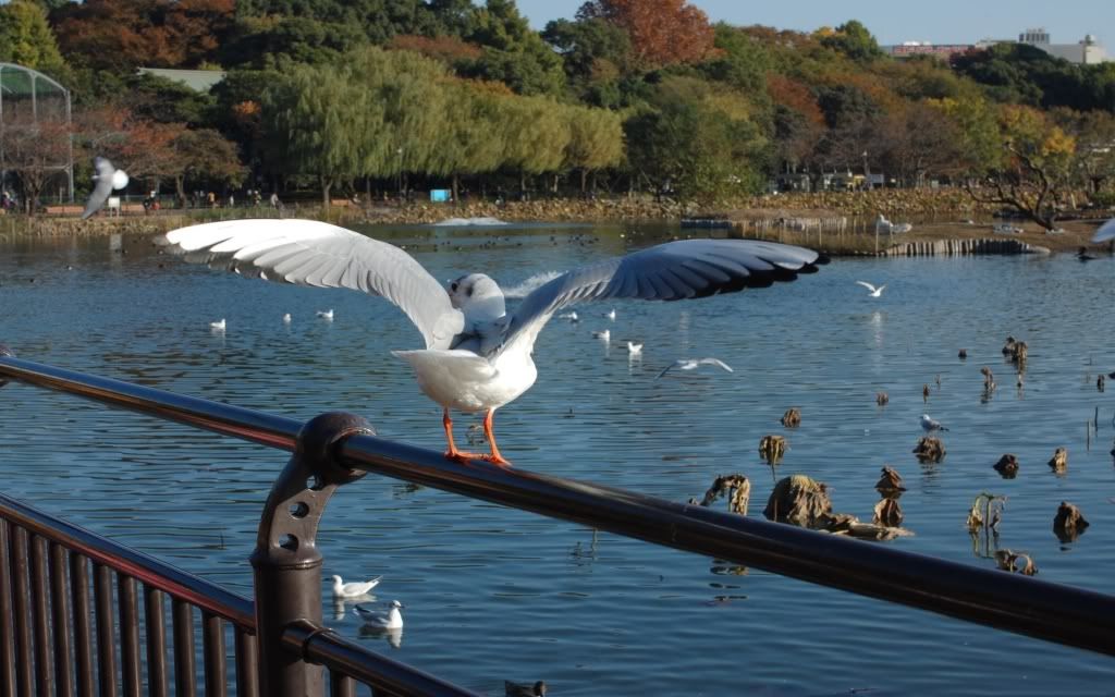 Image00022.jpg