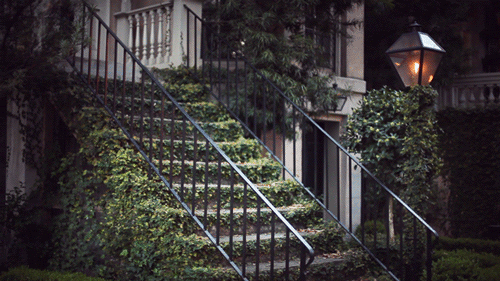 jamie-beck-184.gif