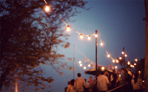 jamie-beck-lights.gif