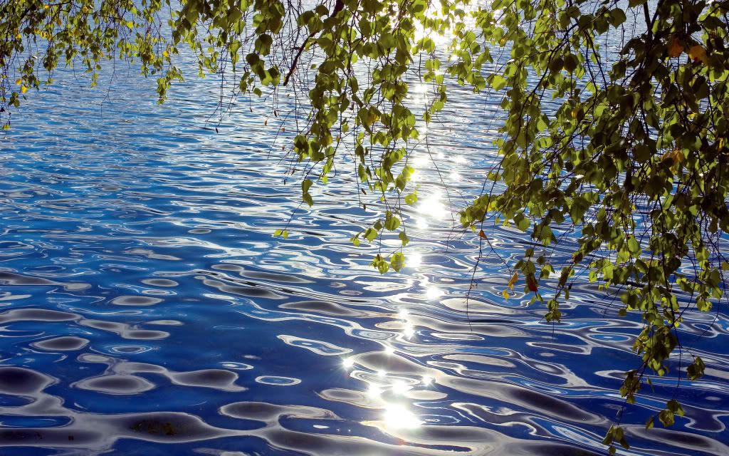 HDPackSuperiorWallpapers357_283.jpg