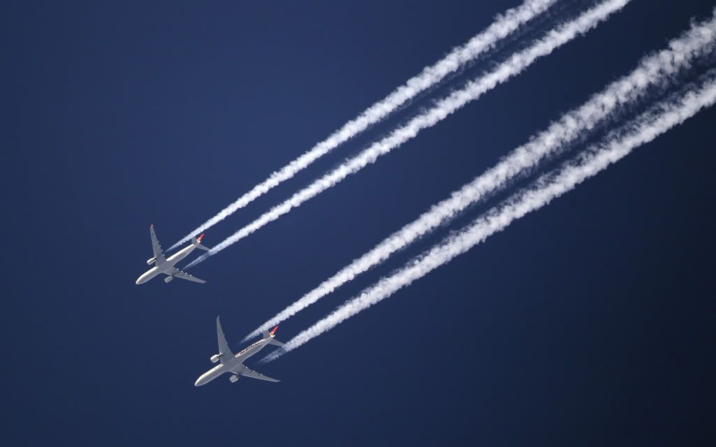 a115.jpg