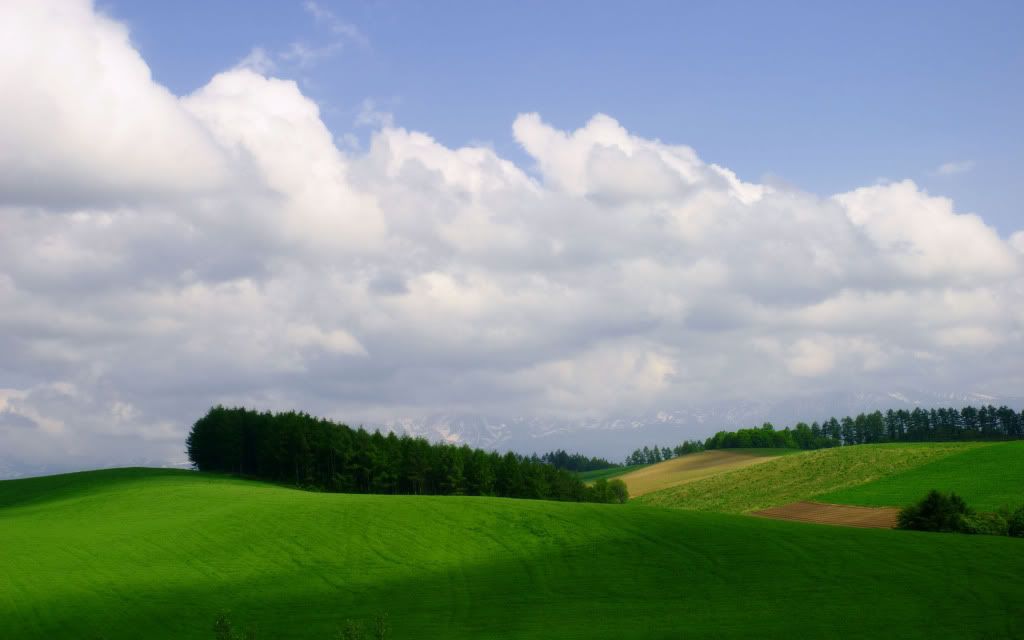 a256.jpg