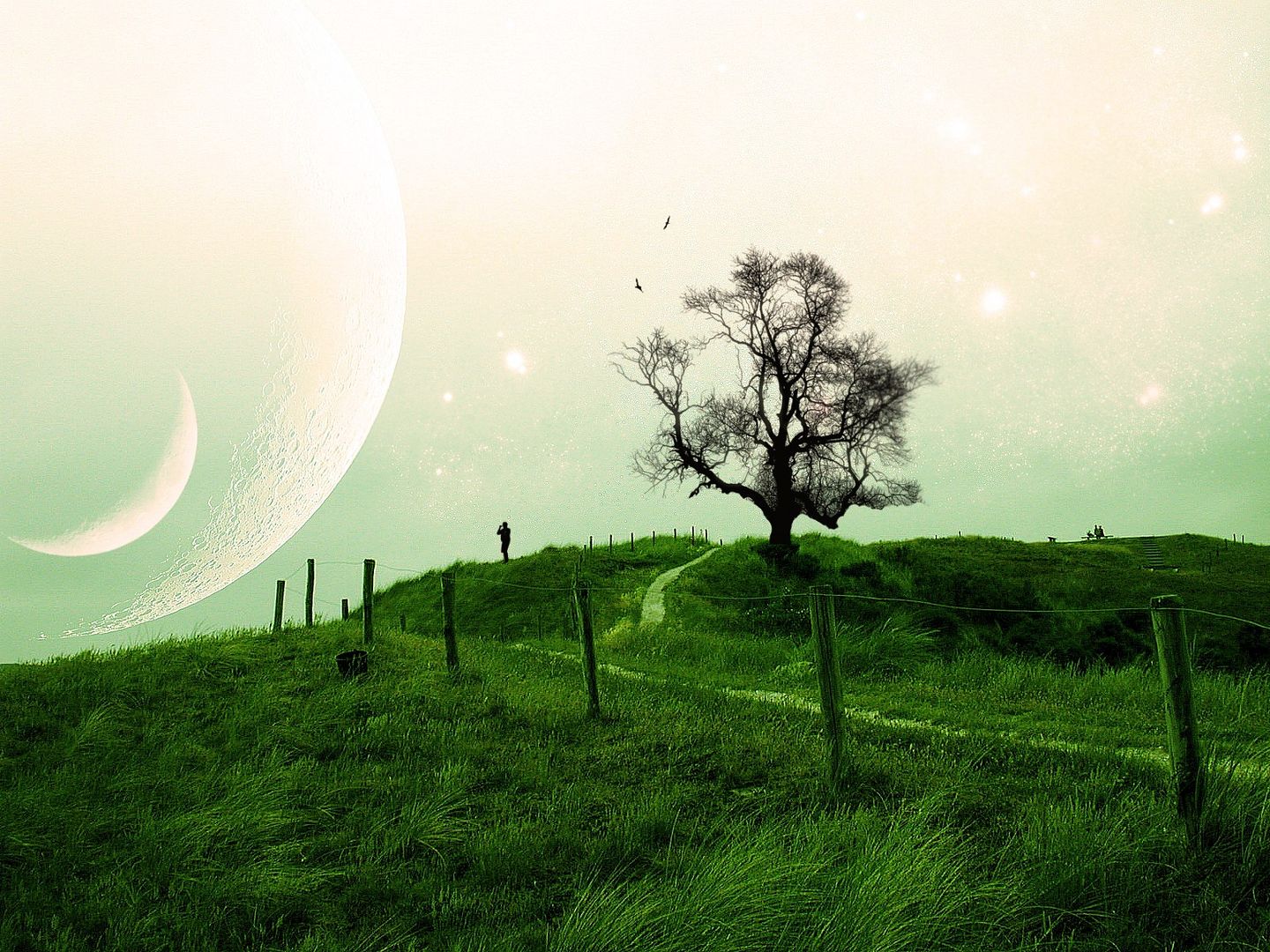 ComputerDesktopWallpapersCollection428_087.jpg