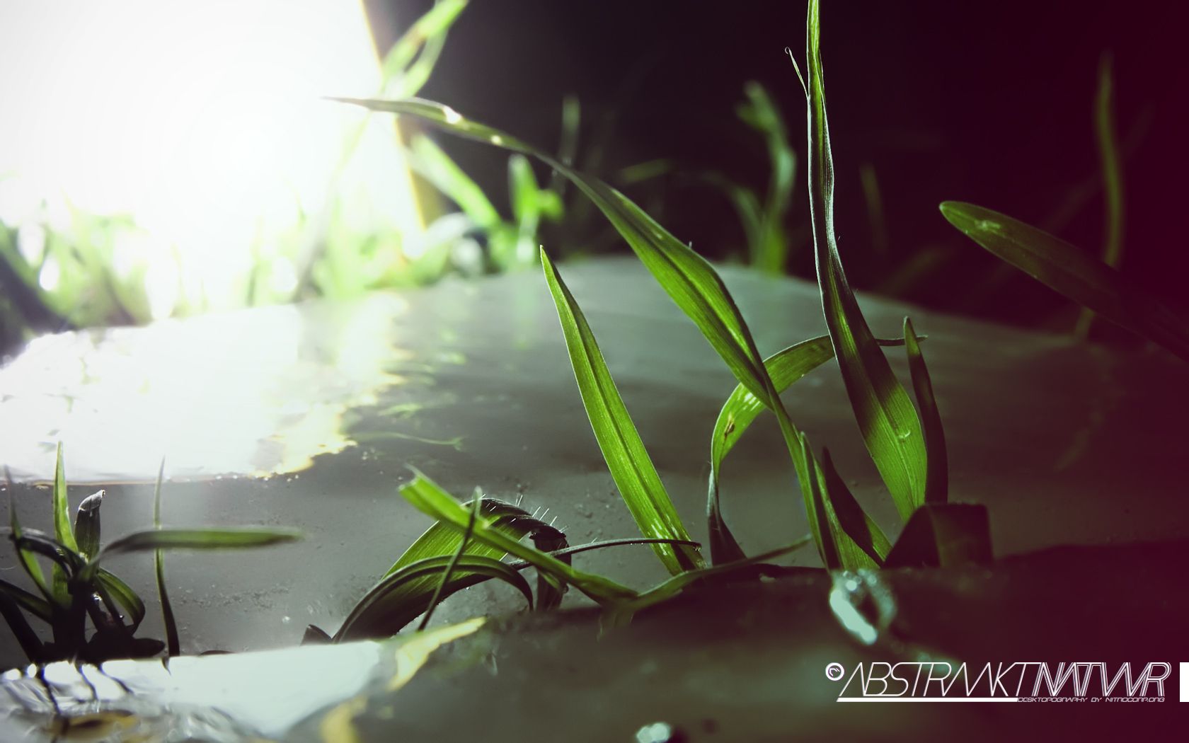 HQWallpapers_0002.jpg