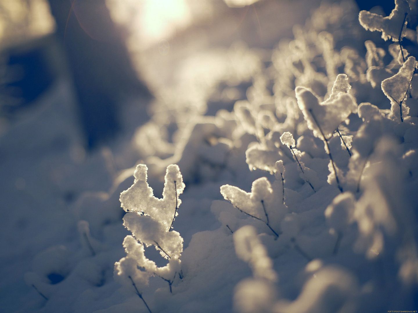 HQWallpapers_0022.jpg