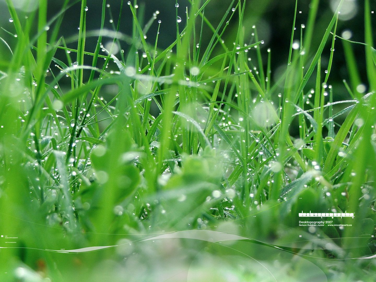 HQWallpapers_0024.jpg