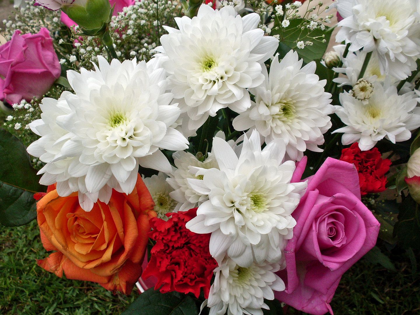 HQWallpapers_0030.jpg