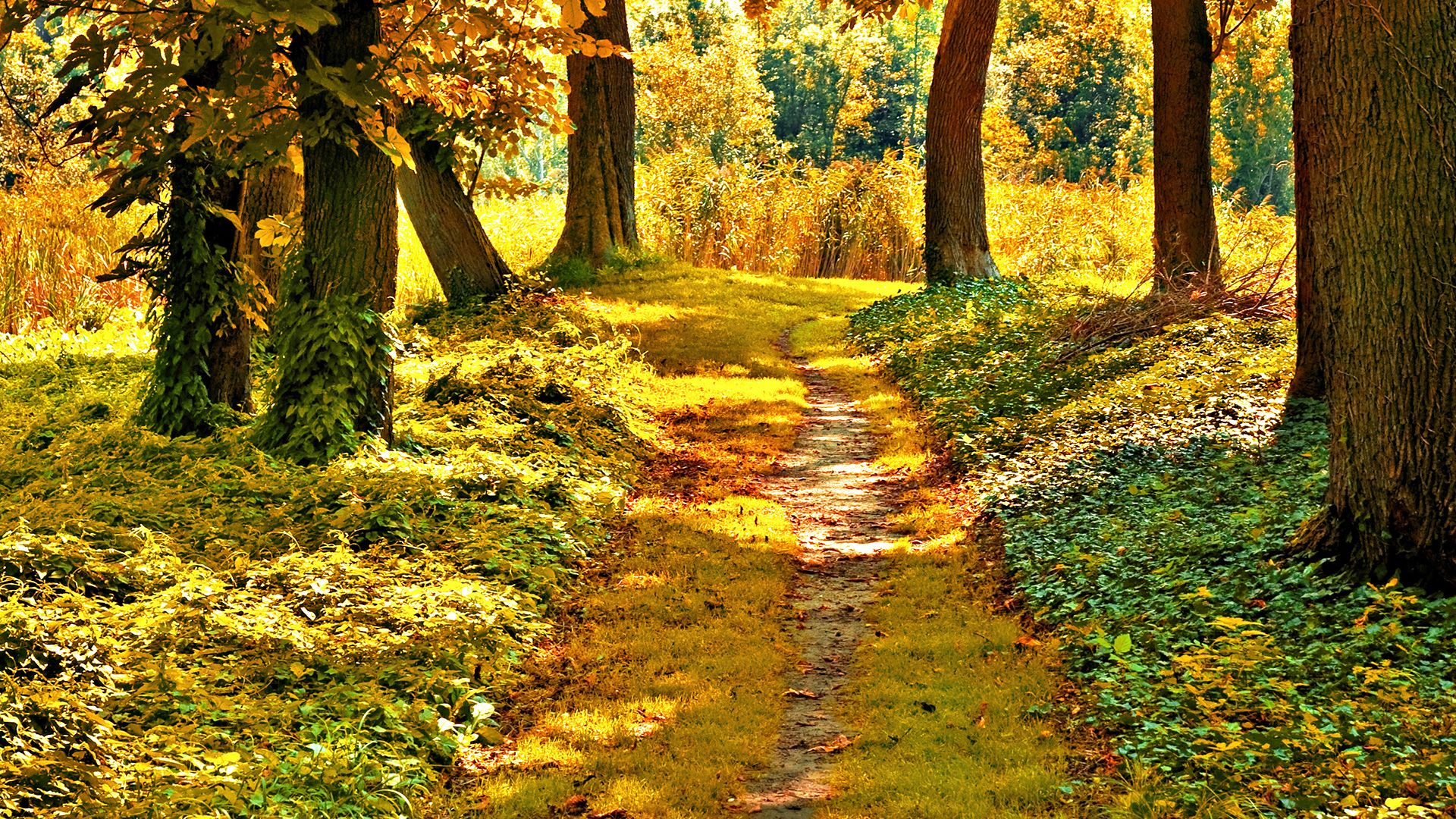HQWallpapers_0032.jpg