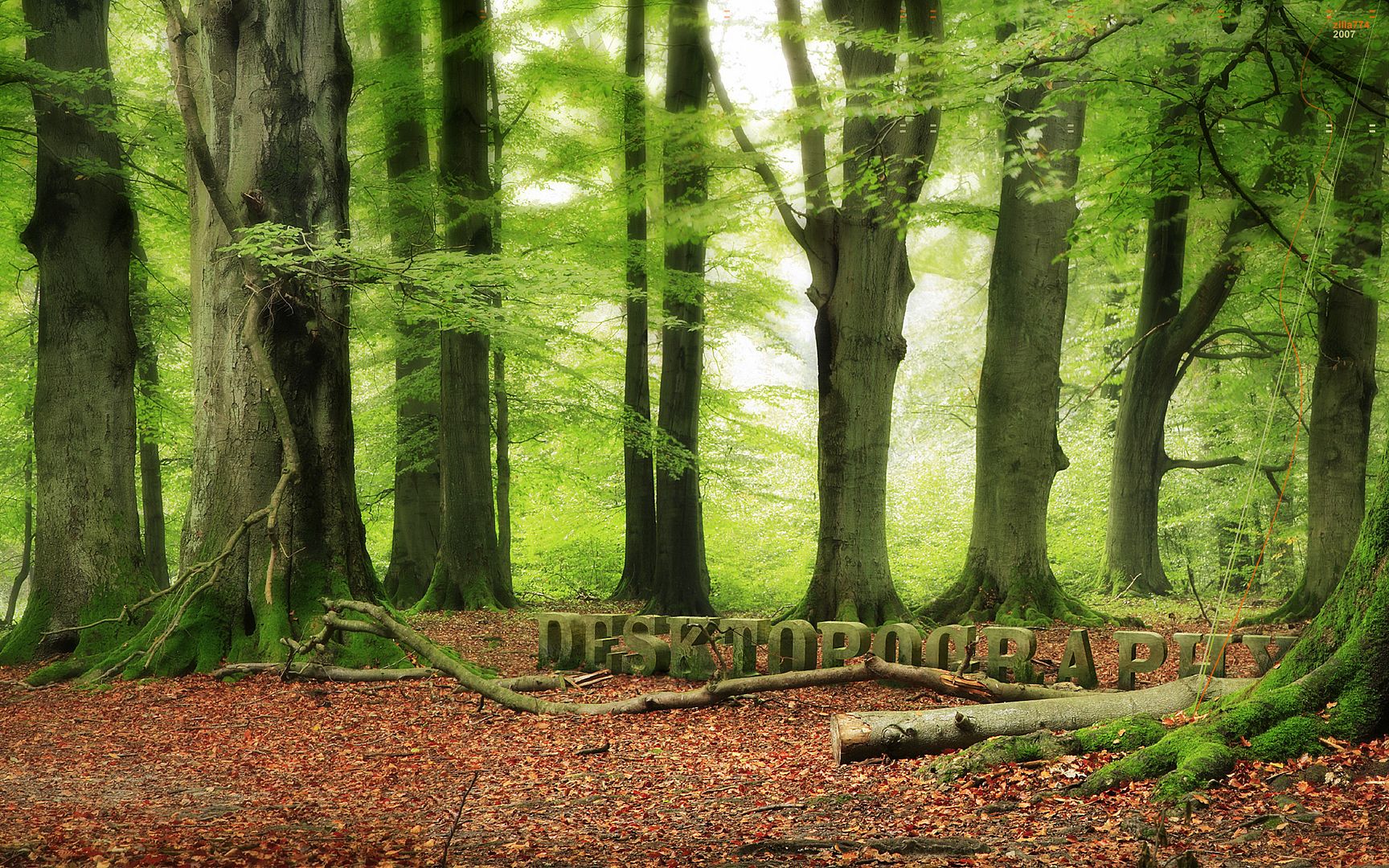 HQWallpapers_0053.jpg