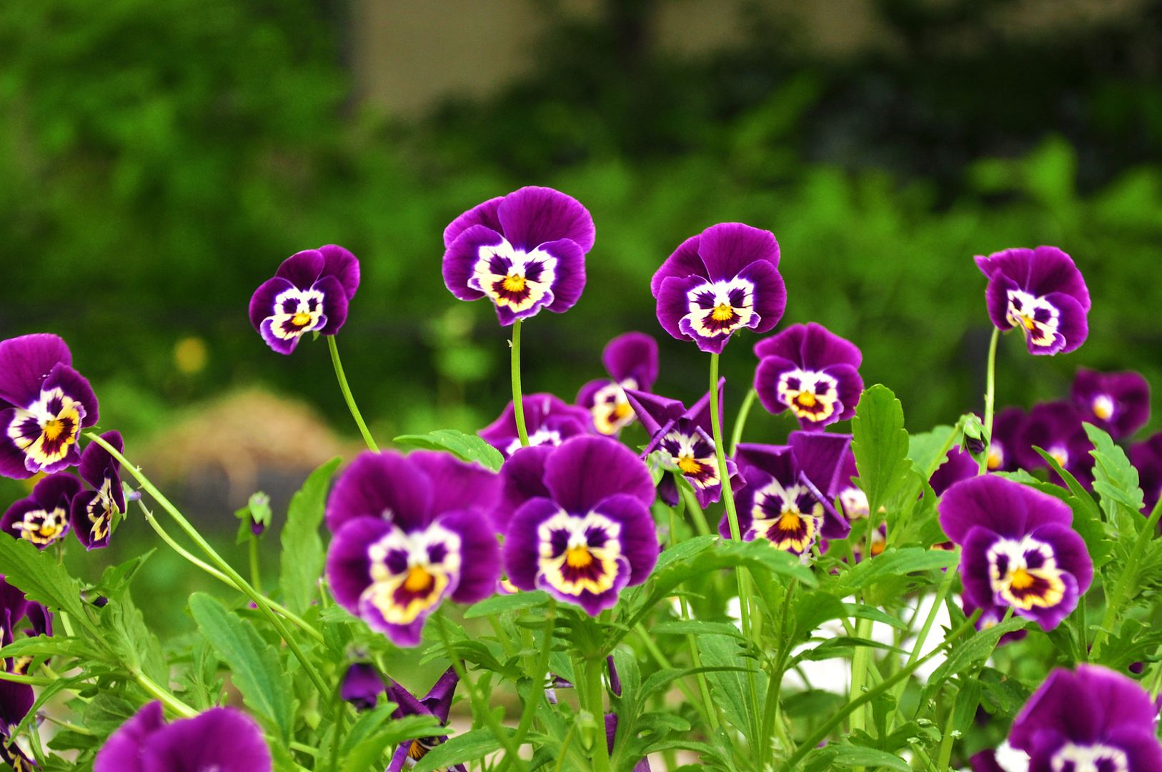 HQWallpapers_0102.jpg