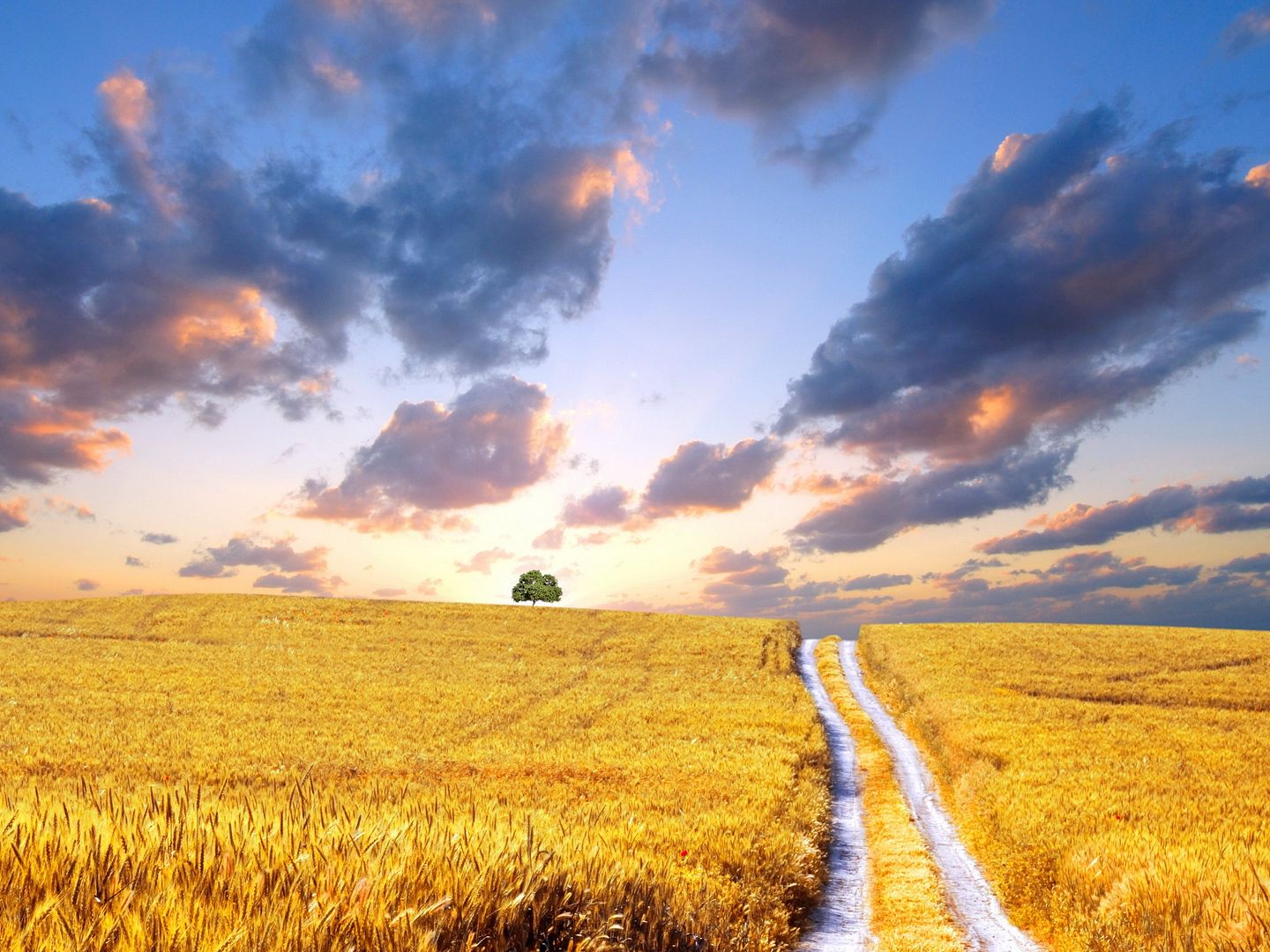 HQWallpapers_0117.jpg