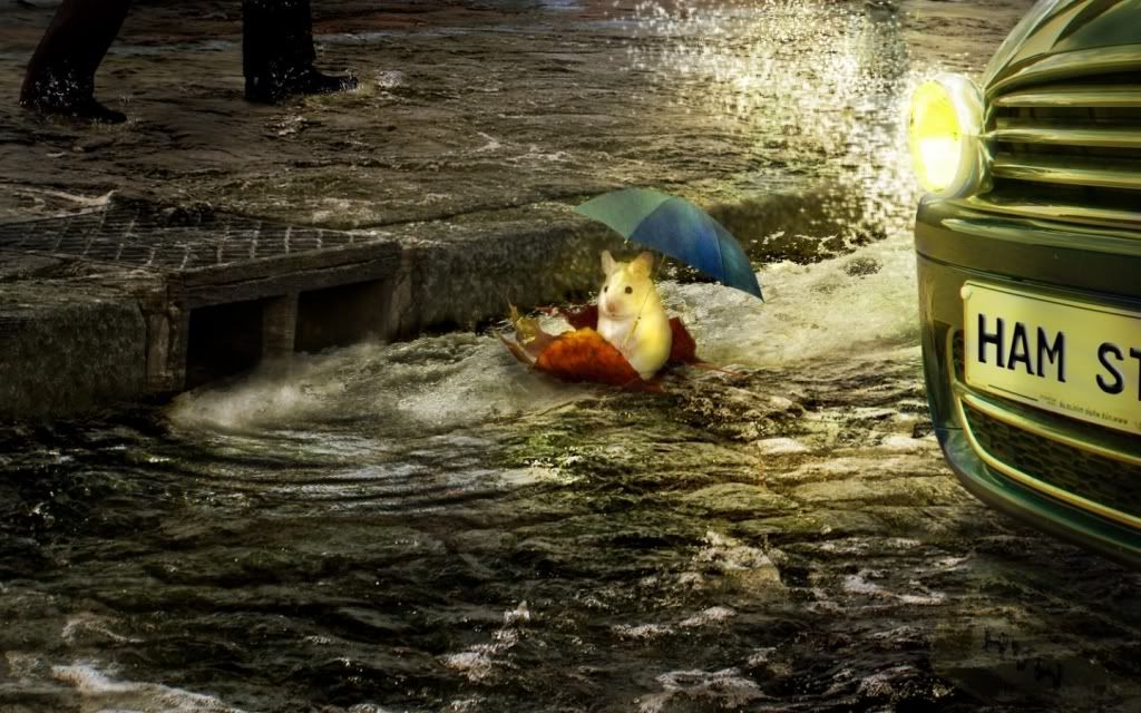 best_wall_nko_30.jpg