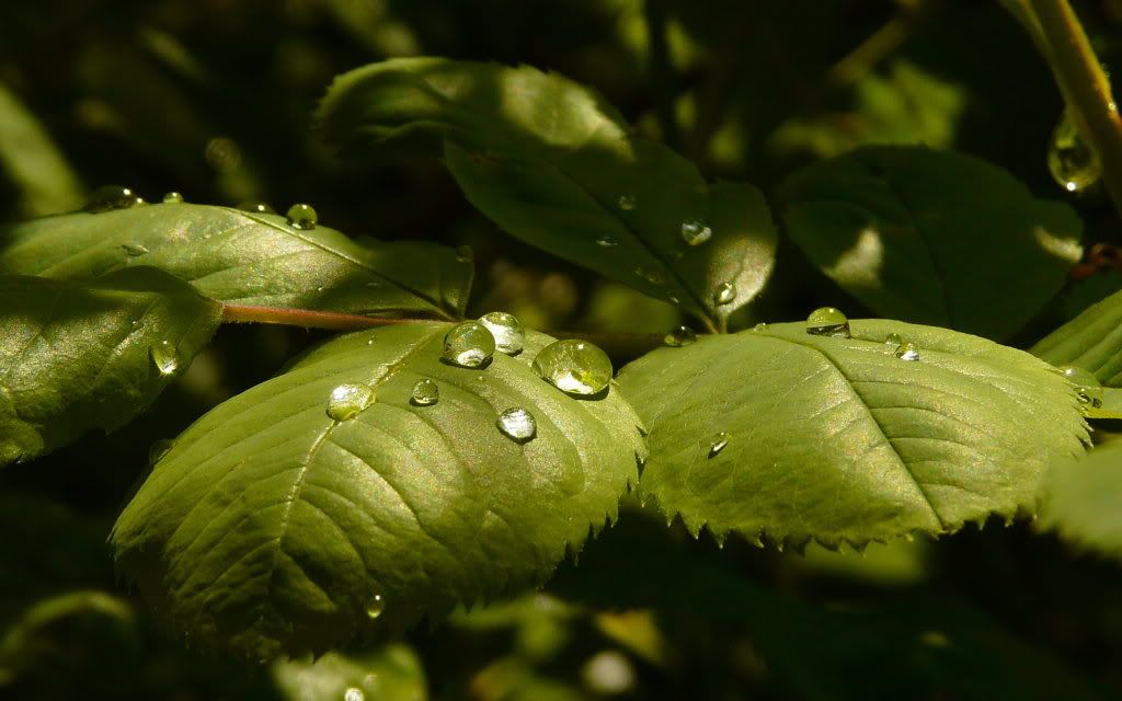 mix_wallpapers10-042.jpg