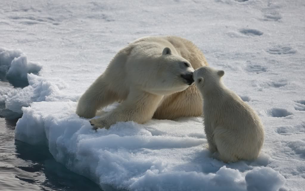 mother_and_son-2560x1600.jpg