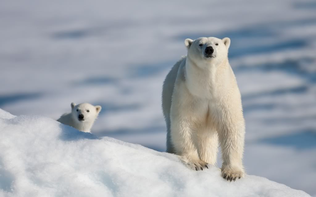mother_and_son_2-2560x1600.jpg