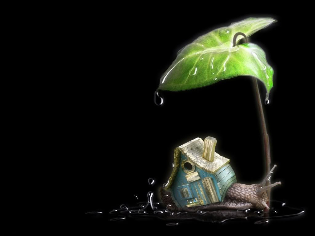 snail_and_his_house-1600x1200.jpg
