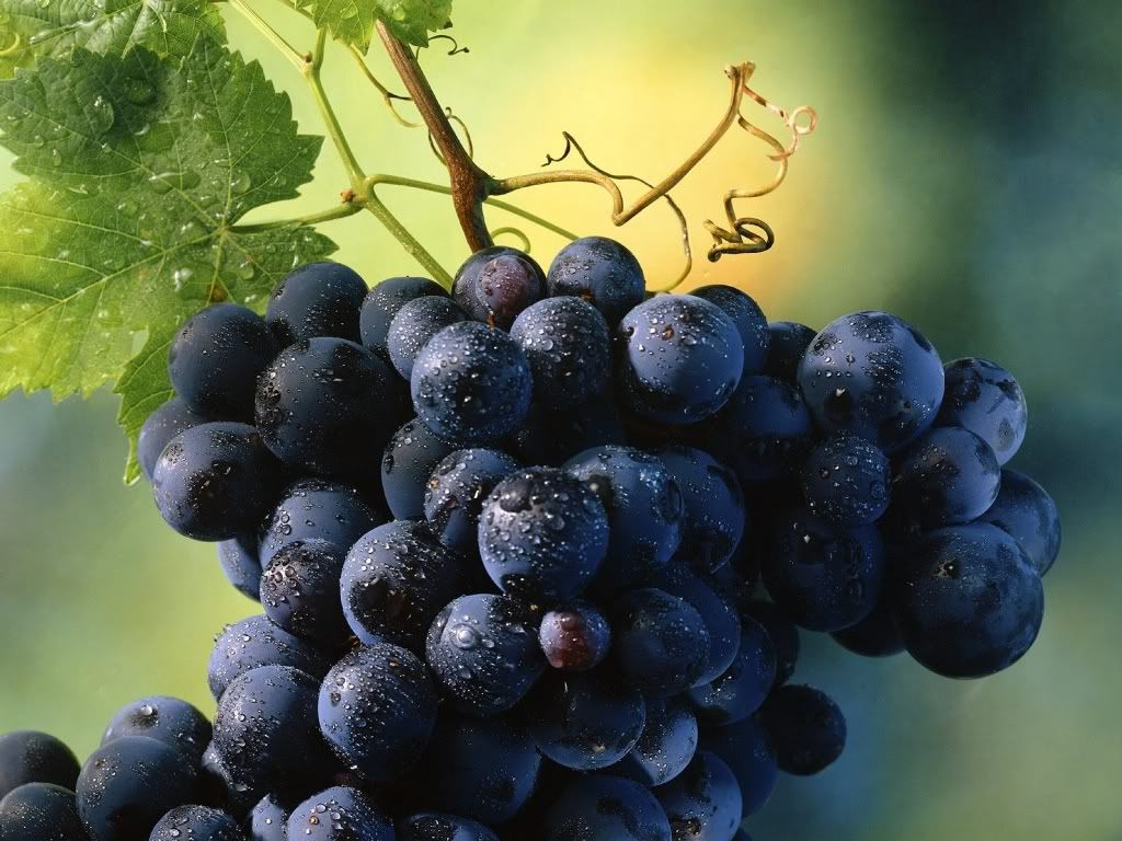 tasty_grapes-1600x1200.jpg