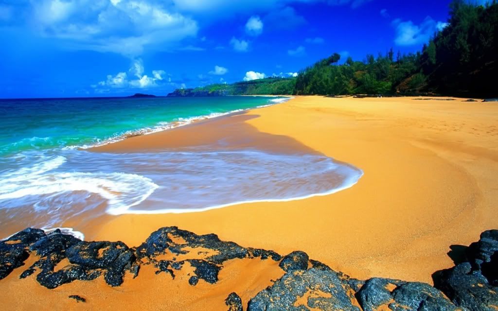 wallpapersbyRokott00711.jpg