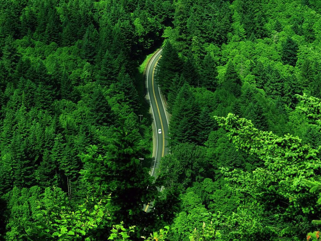 wallpapersbyRokott0072-1.jpg