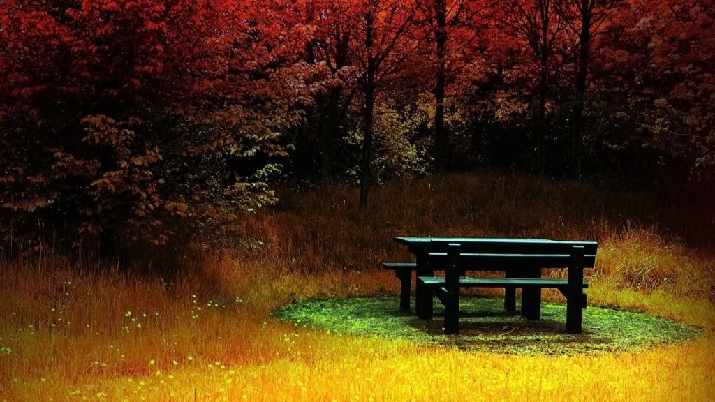 wp_fire_autumn-1920x1080.jpg