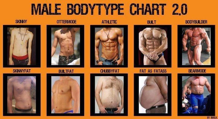 Male-Body-Type-Chart-Ottermode-Builtfat-...dba666.jpg