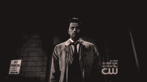tumblr_lh7p5ui74W1qb4op4o1_500.gif