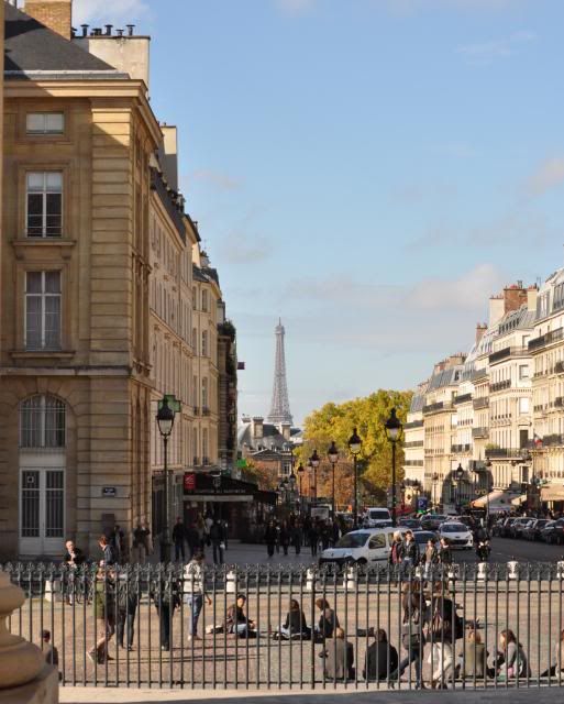Paris, la ciudad perfecta !!! - Blogs de Francia - Primer dia- Barrio Latino (24)