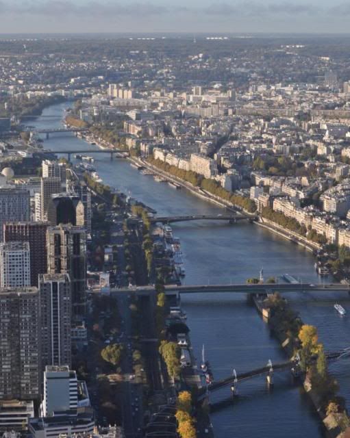Paris, la ciudad perfecta !!! - Blogs de Francia - 2do dia. Torre Eiffel-Arco del Triunfo-Les Ivalides y mas... (11)