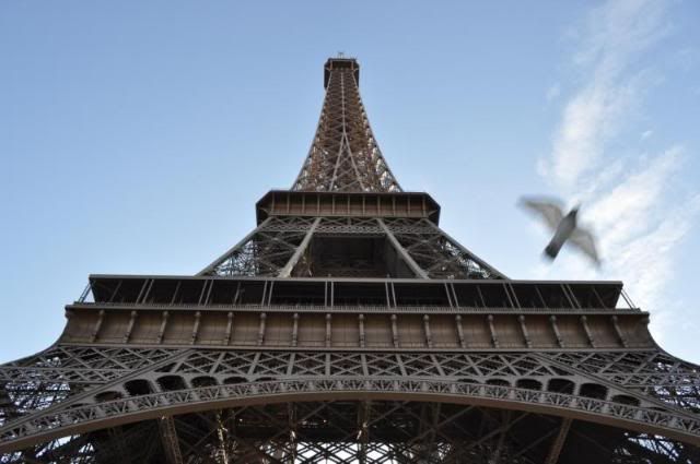 Paris, la ciudad perfecta !!! - Blogs de Francia - 2do dia. Torre Eiffel-Arco del Triunfo-Les Ivalides y mas... (34)