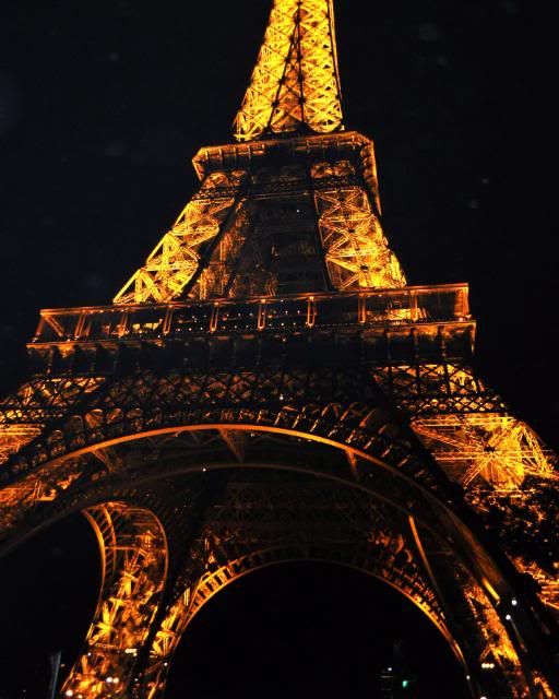 2do dia. Torre Eiffel-Arco del Triunfo-Les Ivalides y mas... - Paris, la ciudad perfecta !!! (159)