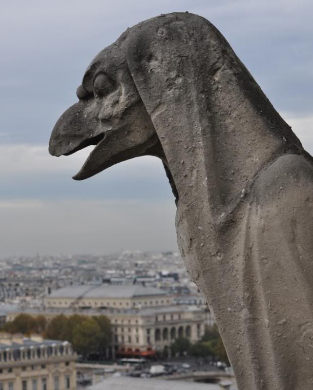 Paris, la ciudad perfecta !!! - Blogs de Francia - 3er día Santa Capilla-Notre Dame- Museo del Louvre (46)