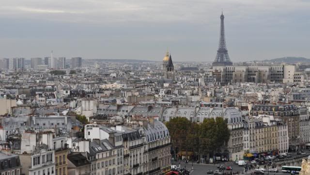 Paris, la ciudad perfecta !!! - Blogs de Francia - 3er día Santa Capilla-Notre Dame- Museo del Louvre (42)