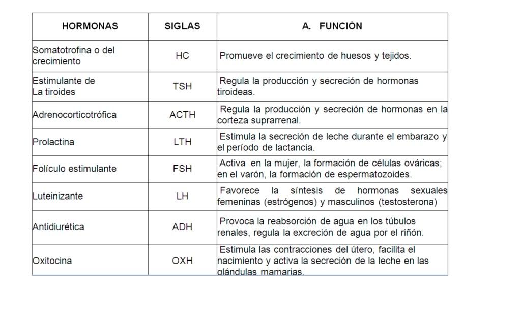 crecimiento crecimiento