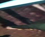 th_IMG_0088.jpg