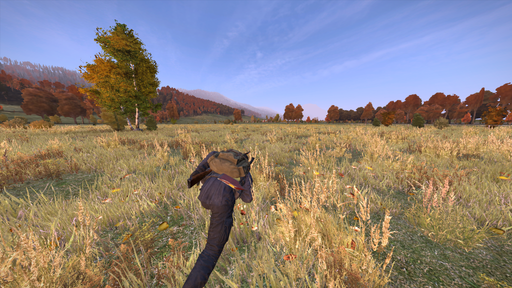 DayZ2013-12-2619-12-46-587.png